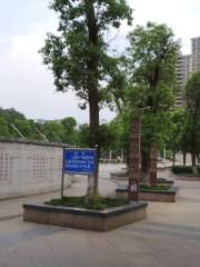 Donghua Square Park