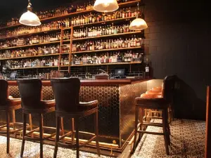 Top 20 Bars in Brisbane