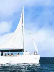 金夢海灣帆船