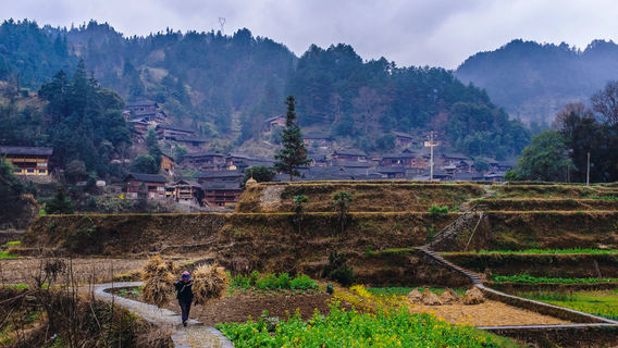 Langde Miao Village Scenic Area