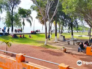 Lac de Chapala