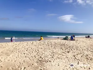 Scusset Beach State Reservation