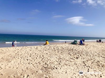 Scusset Beach State Reservation