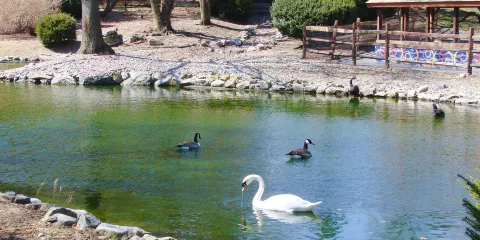 愛德蒙頓谷動物園