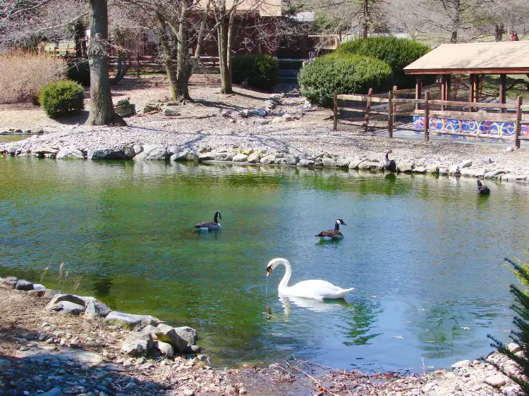 Các khách sạn gần Valley Zoo
