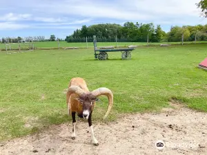Oshawa Zoo & Fun Farm