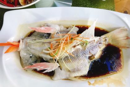 JUXIAN PAVILION FOOD CITY