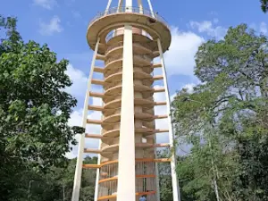 Anna Tower