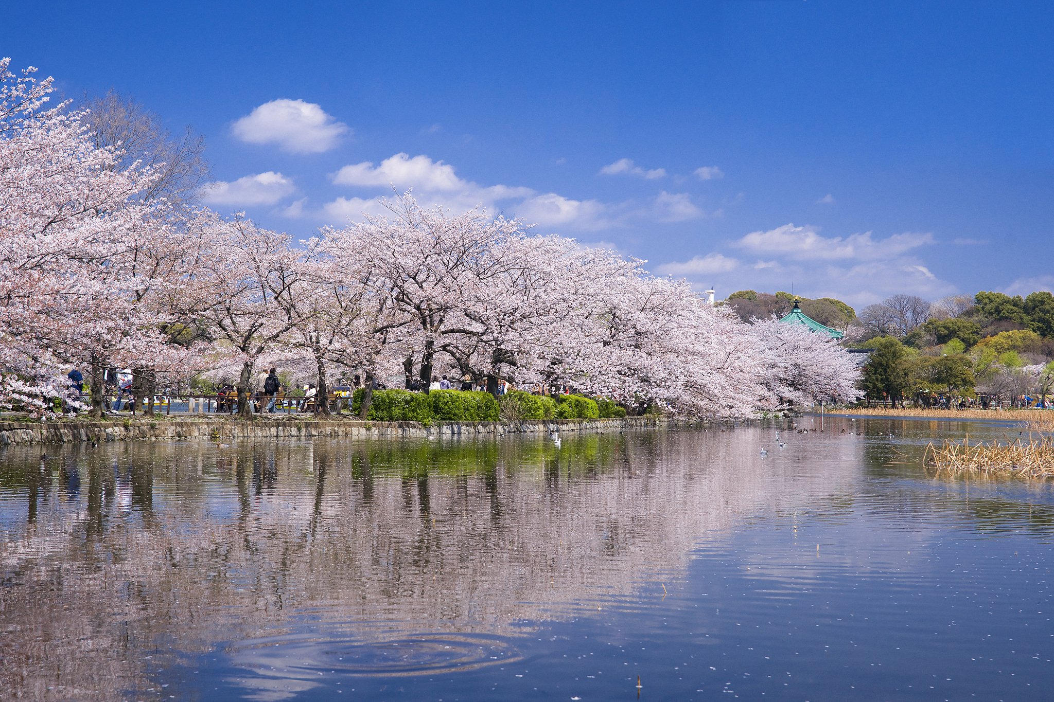 Ueno Park