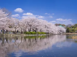 Ueno Park