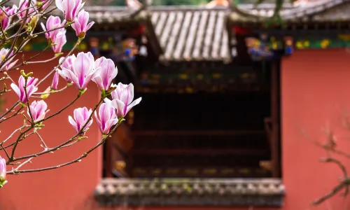 เขาซีซาน