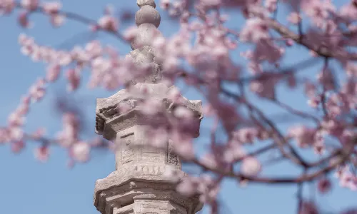 Longxing Temple