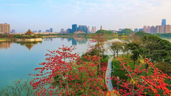 Shunfeng Mountain Park