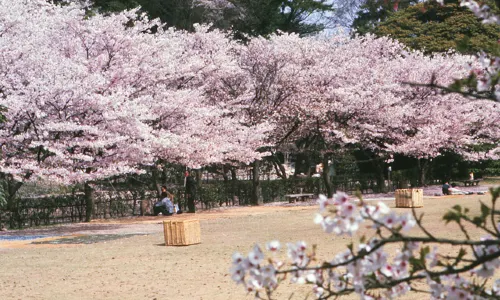 Ritsurin Garden