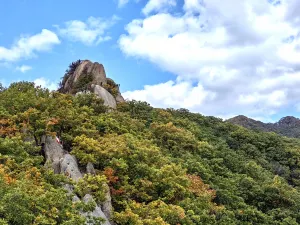 Zhuque Mountain Forest Park