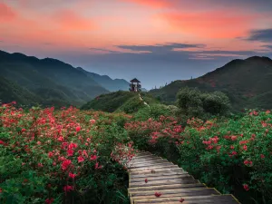大圍山國家森林公園