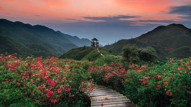Daweishan National Forest Park
