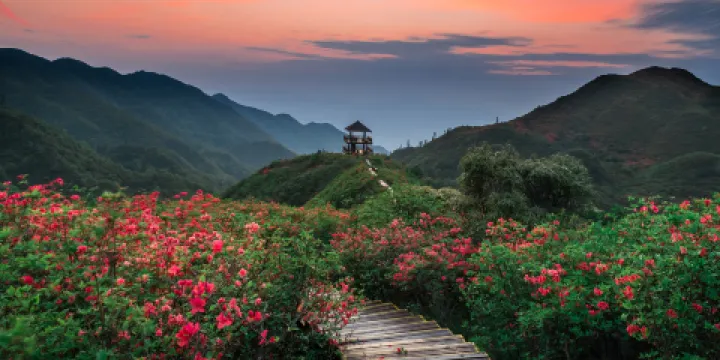 大圍山國家森林公園