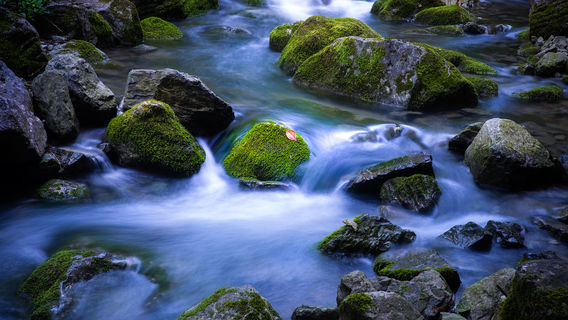 Sitting Dragon Gorge Scenic Area