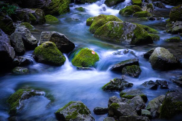 Zuolong Gorge Scenic Area