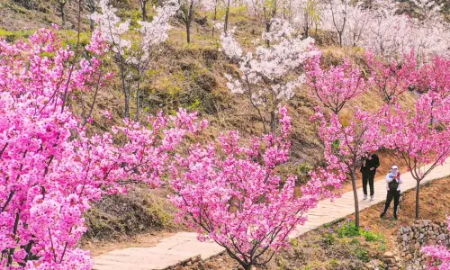 จุดชมวิวหมีชาน