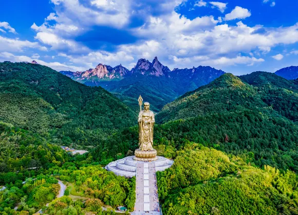青陽