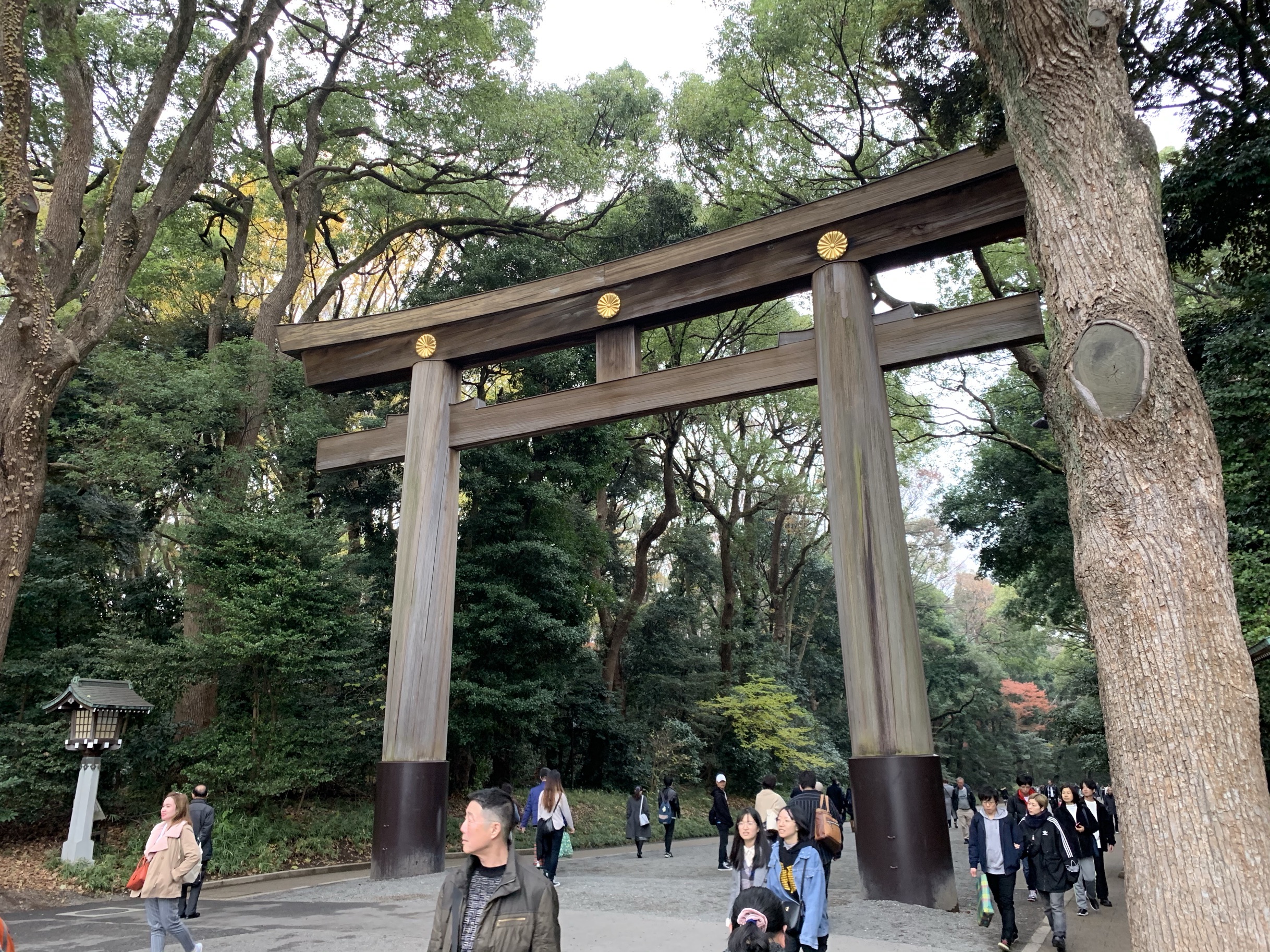 明治神宮景點評價 明治神宮門票 明治神宮優惠 明治神宮交通 地址 開放時間 明治神宮附近景點 酒店及美食 Trip Com