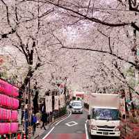 渋谷駅近くの桜坂