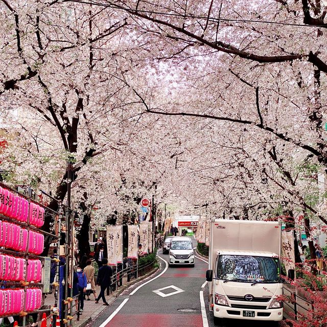 渋谷駅近くの桜坂