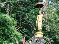 Wat Tham Pla in Chiang Rai, Thailand