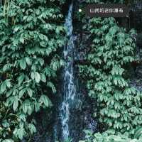 奧克蘭周邊遊私藏美景 大公開！