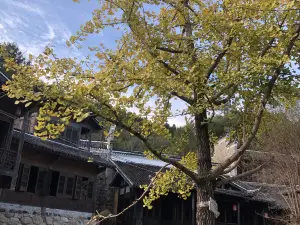 Chikan Guangdong Overseas Chinese International Tourism Resort
