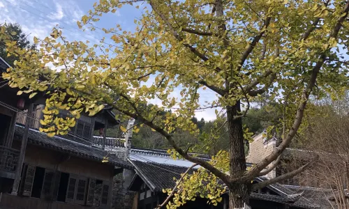 Chikan Guangdong Overseas Chinese International Tourism Resort