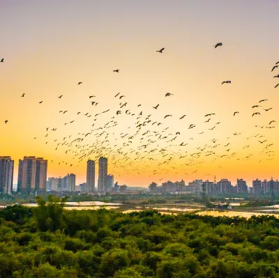 Hilton Huanpeng Hotel in Beijiao, Foshan