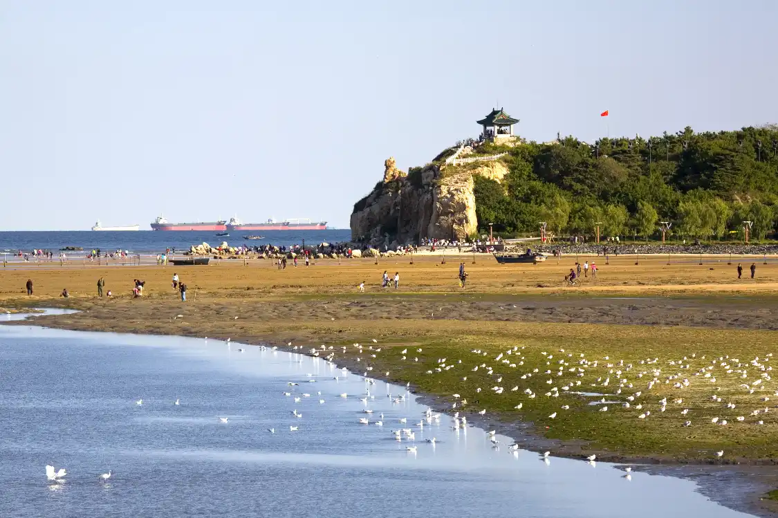 진황도 조류박물관 주변 호텔