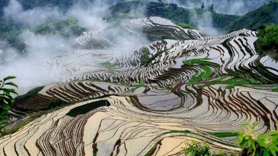 念山雲上梯田景區