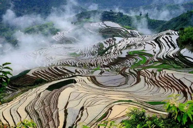 Chính Hòa