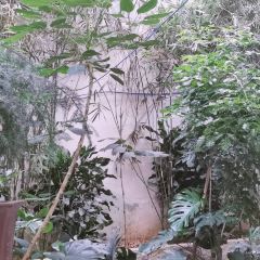 东升醉鹅城(建水店) User Photo
