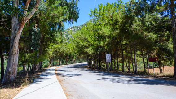 Côn Sơn
