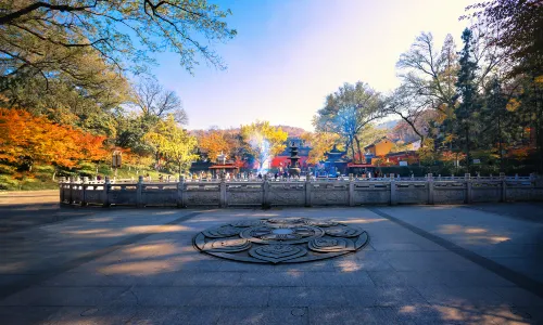 Nanjing Maple Leaf Viewing