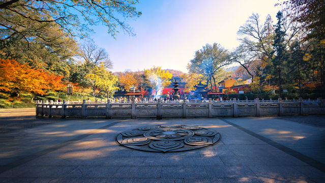 Maple Leaf Viewing in Nanjing
