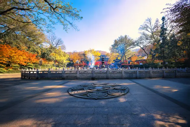Maple Leaf Viewing in Nanjing