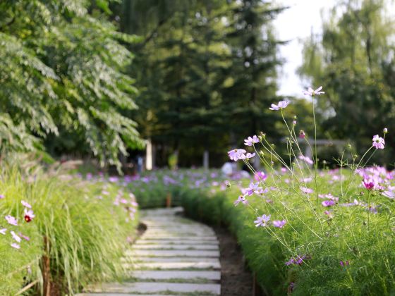 済南植物園