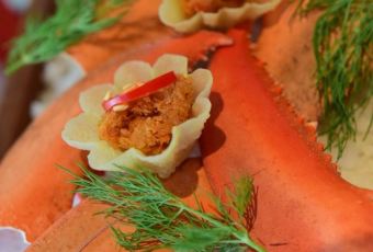 Issaya Siamese Club User Photo