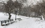 Fort Tryon Park