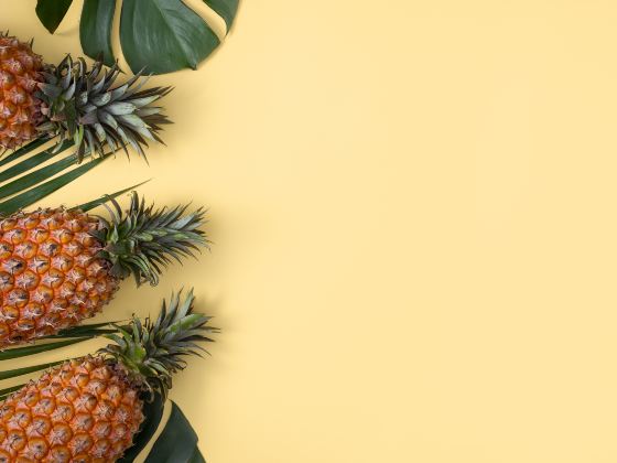 The Sea of Pineapple