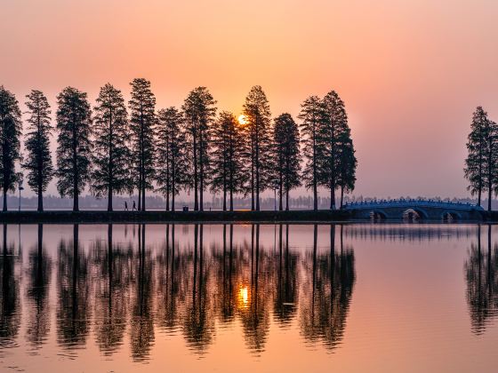 Donghu Ecology Tourism Area