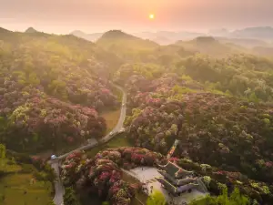 백리두견 관광지