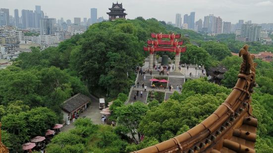 蛇山位于武汉武昌区长江东岸，长约1790米，最高点海拔85米