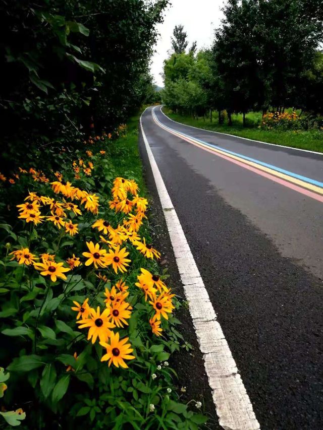 룽츠산(용지산) 자전거 공원